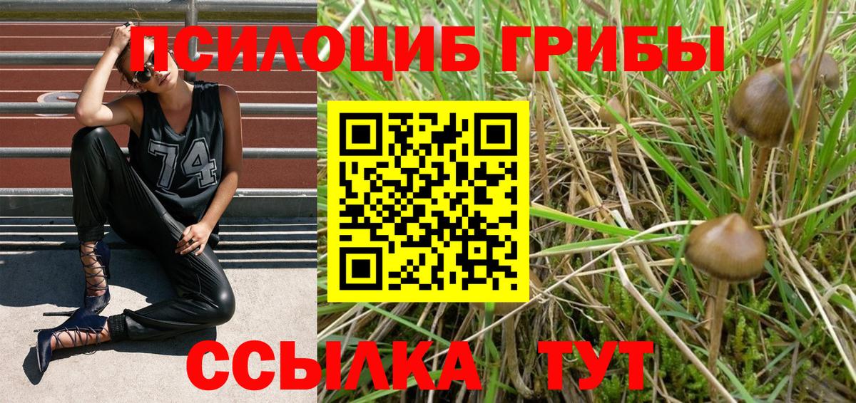 Кемерово  Псилоцибиновые грибы MAGIC MUSHROOMS  хочу наркоту  Вход с VPN 