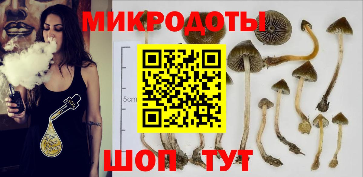 Галлюциногенные грибы мицелий Кемерово